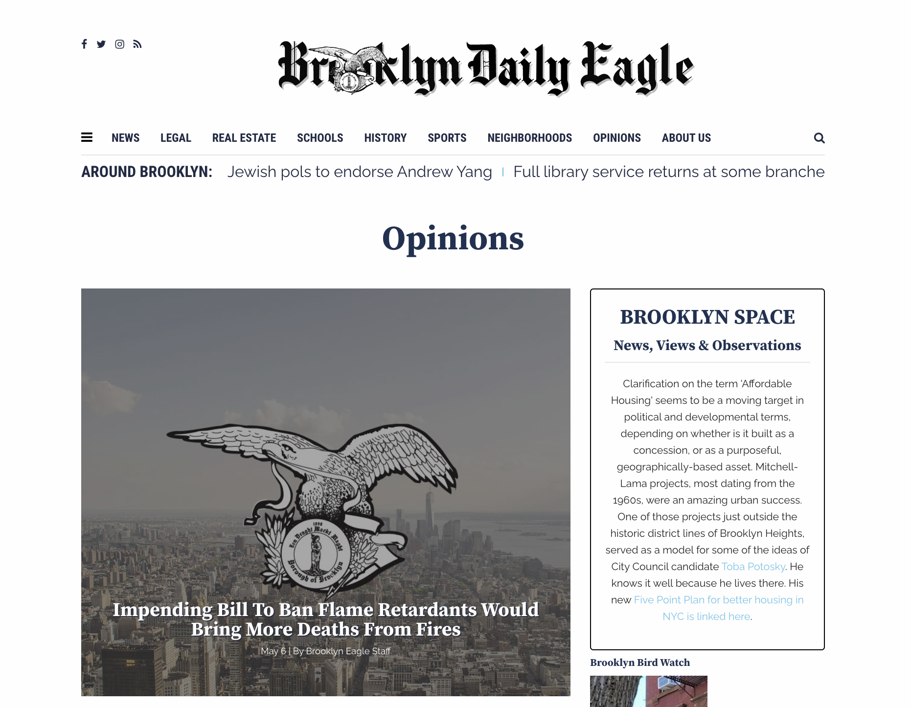 Screenshot of the deleted Brooklyn Eagle story.
